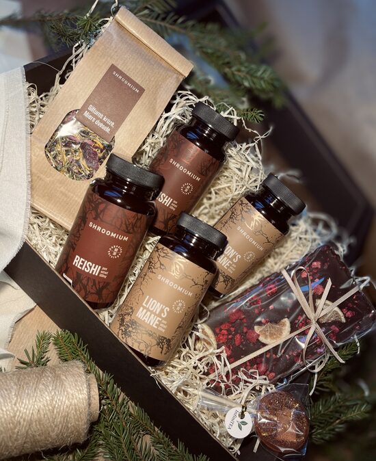 Lielais Ziemassvētku dāvanu komplekts PRODUKTIVITĀTE